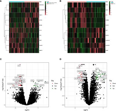 Osteoarticular Involvement-Associated Biomarkers and Pathways in Psoriasis: The Shared Pathway With Ankylosing Spondylitis